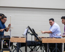 TMEA 23 - Omphalo